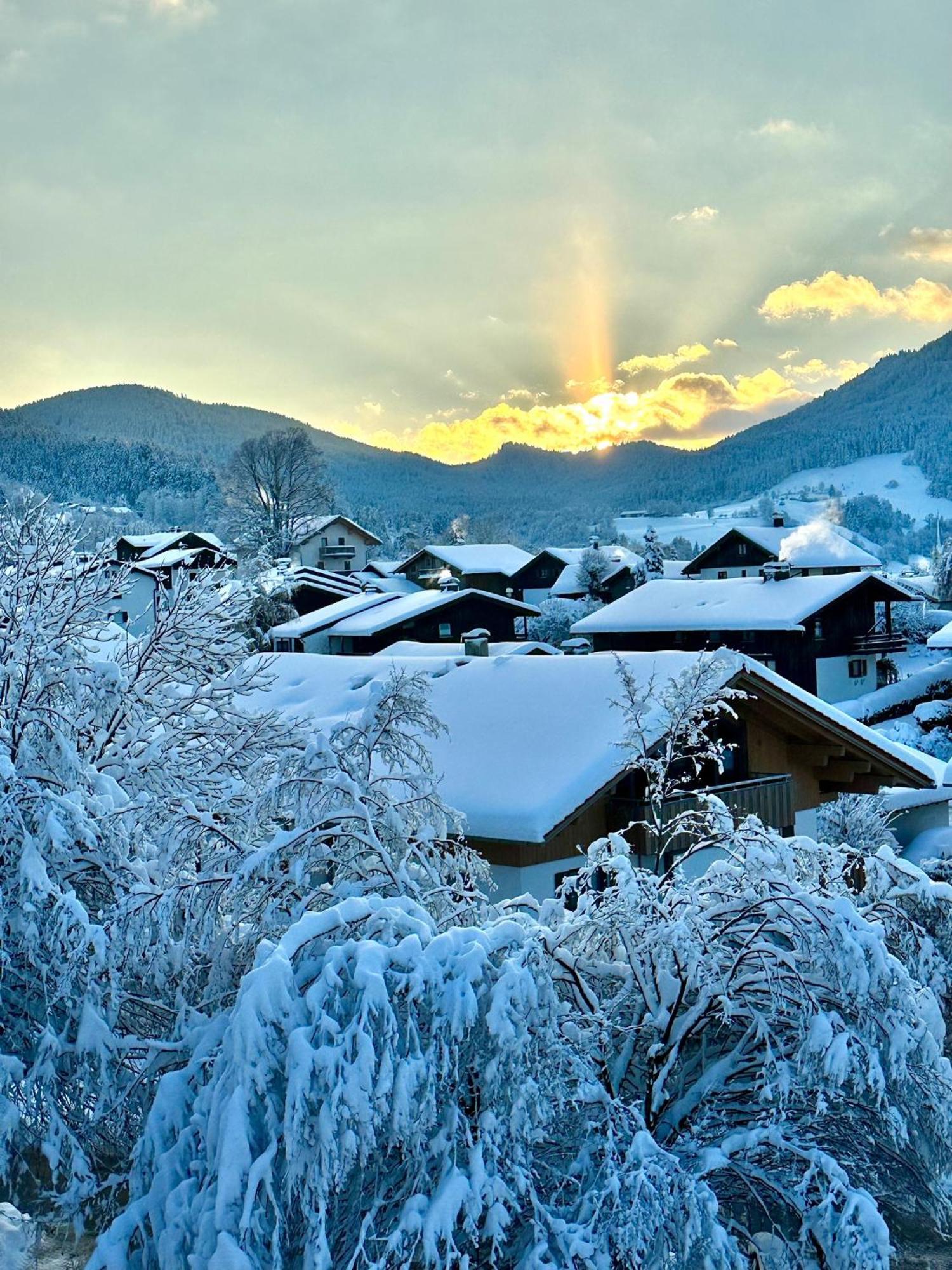 Alpenoase Schliersee - Grosse Suite Mit Sauna Oder Gemuetliche Studio Appartements المظهر الخارجي الصورة