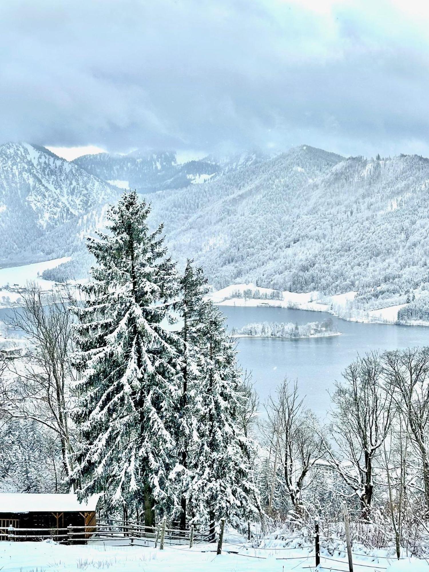 Alpenoase Schliersee - Grosse Suite Mit Sauna Oder Gemuetliche Studio Appartements المظهر الخارجي الصورة
